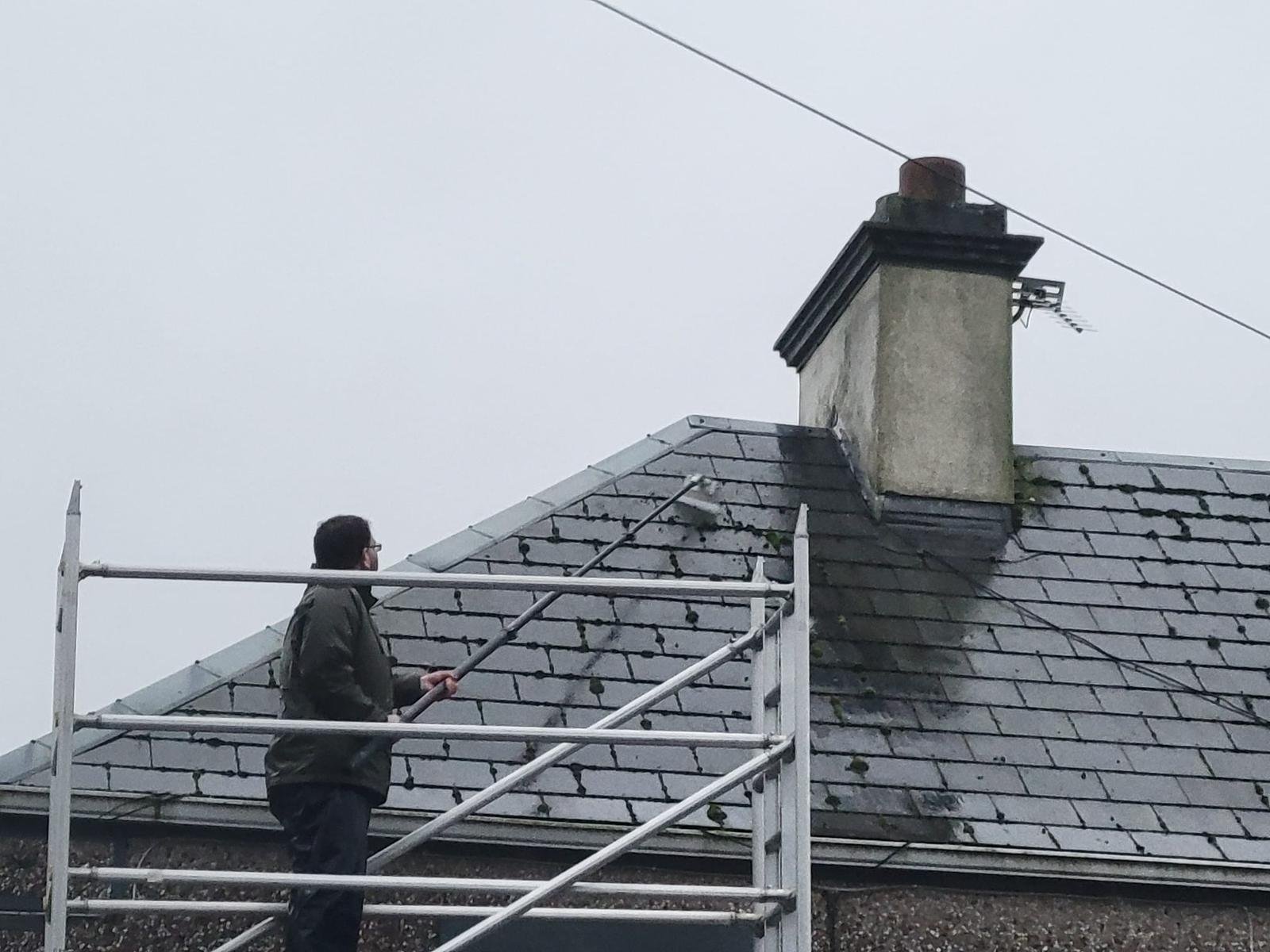 Why Moss Is Silently Damaging Your Roof (And What to Do About It)