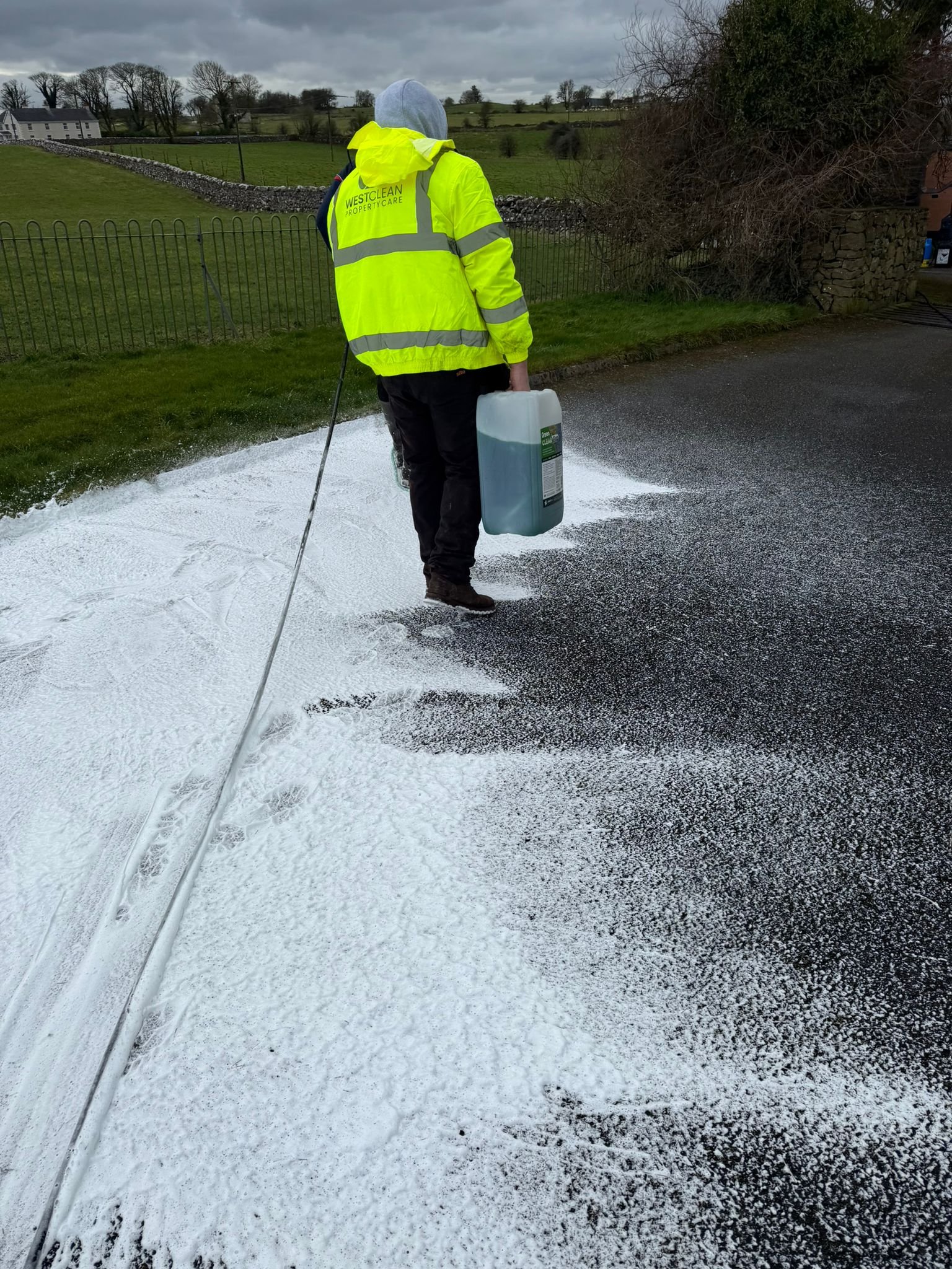 Moss treatment and removal from roof tiles