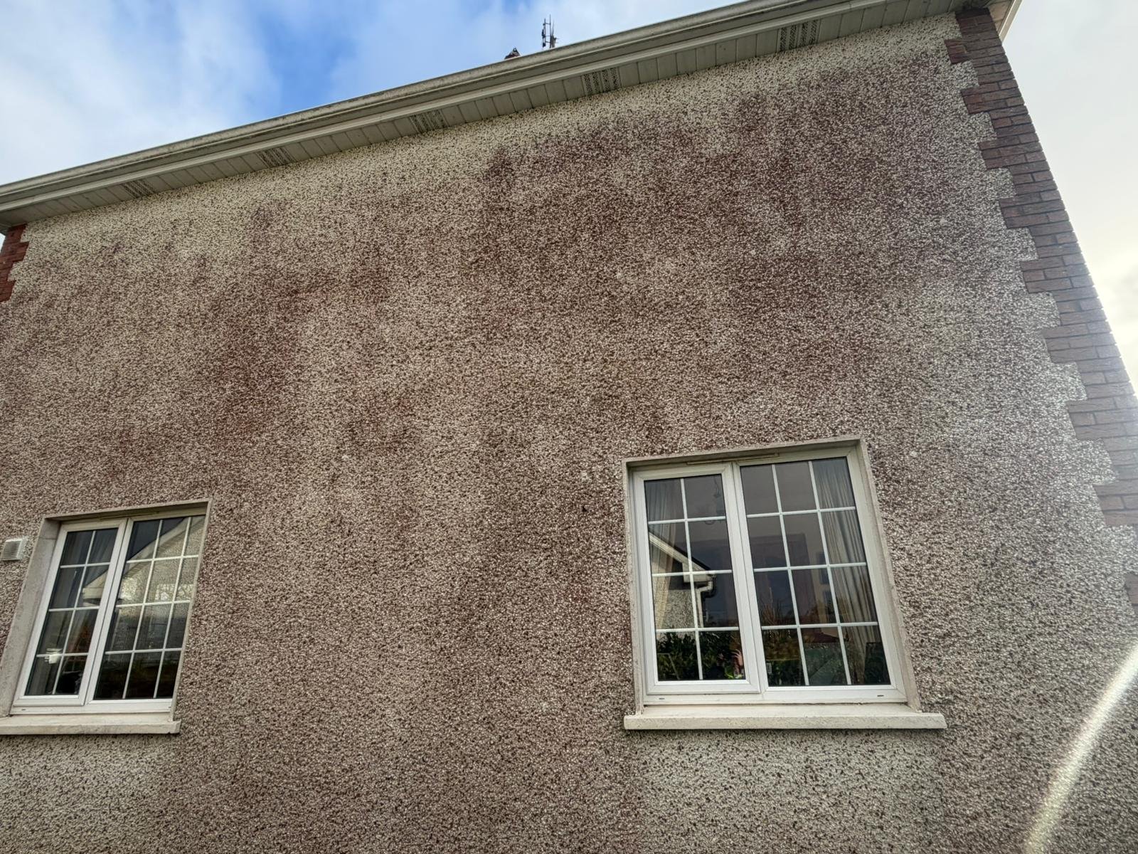 Soft washing algae removal from walls