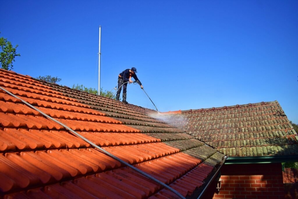 Professional roof moss removal and softwash